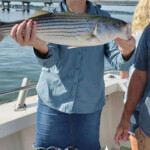 June Chartered Fishing Trip