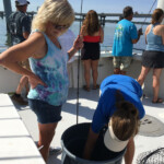 June Chartered Fishing Trip