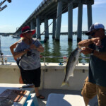 June Chartered Fishing Trip